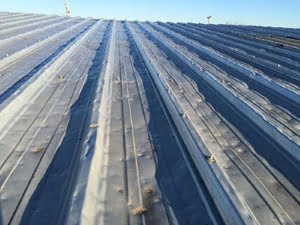 roof-repair-bismarck-ND-North-Dakota-1