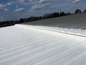 Metal Roof Restoration