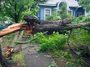 Roof Storm Damage