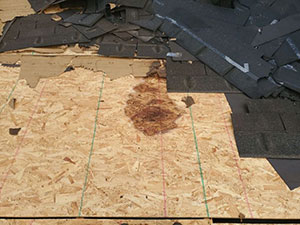 Roof Leak Detection1